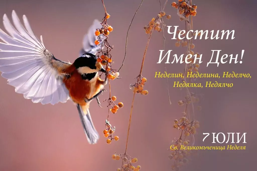 св. великомъченица Кириакия Неделя - имен ден св. великомъченица Кириакия Неделя - имен ден