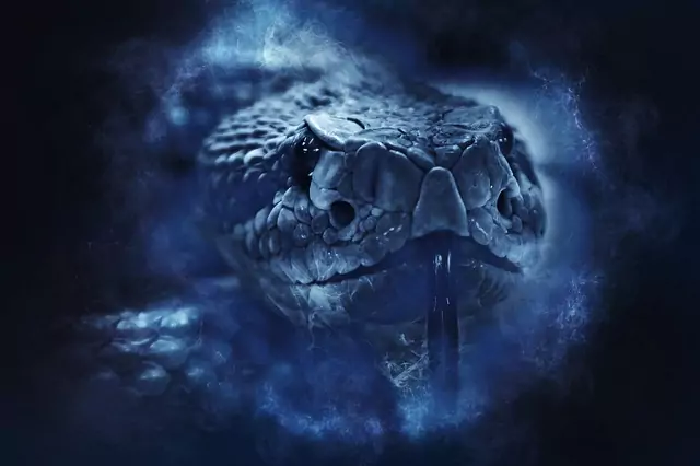 Сънища със змии Основни типове сънища - Сънища със змии