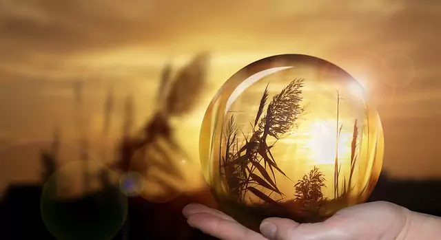 Пророчески сънища Основни типове сънища - Пророчески сънища