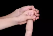Линия на семейството