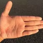 Цвета на дланите – Гледане на ръка