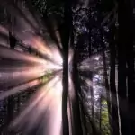 Прекъсване на повтарящи се сънища