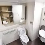 Сънища с фекалии