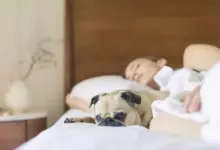 Как да подобрим запомнянето на сънищата си