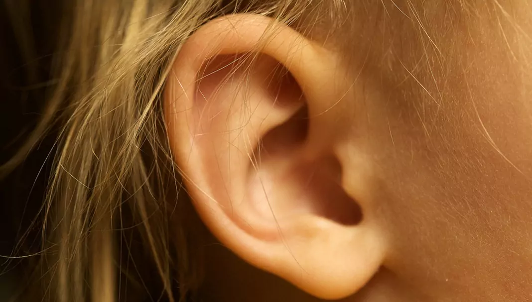 Насекомо в ухото