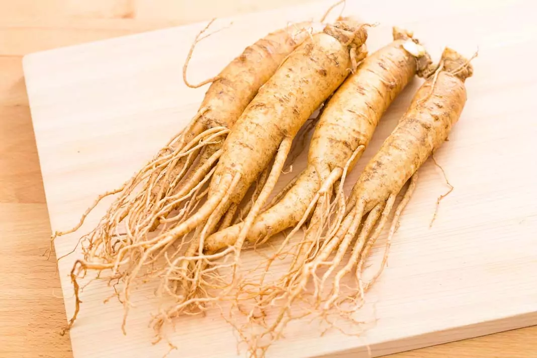 Жен-шен Panax ginseng C. A. Meyer