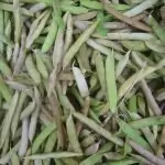 Боб (фасул) бял Phaseolus vulgaris L.