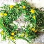 Цветница 2026, Връбница