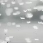 Тълкуване на сънища