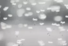 Тълкуване на сънища