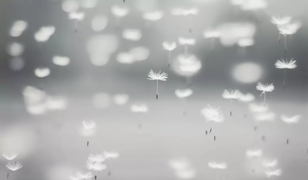 Тълкуване на сънища