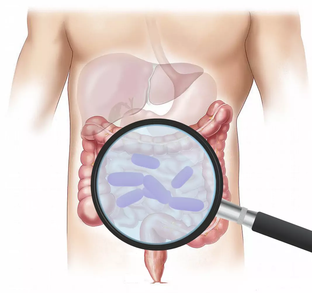 Чревни заболявания, жлъчка и бъбреци