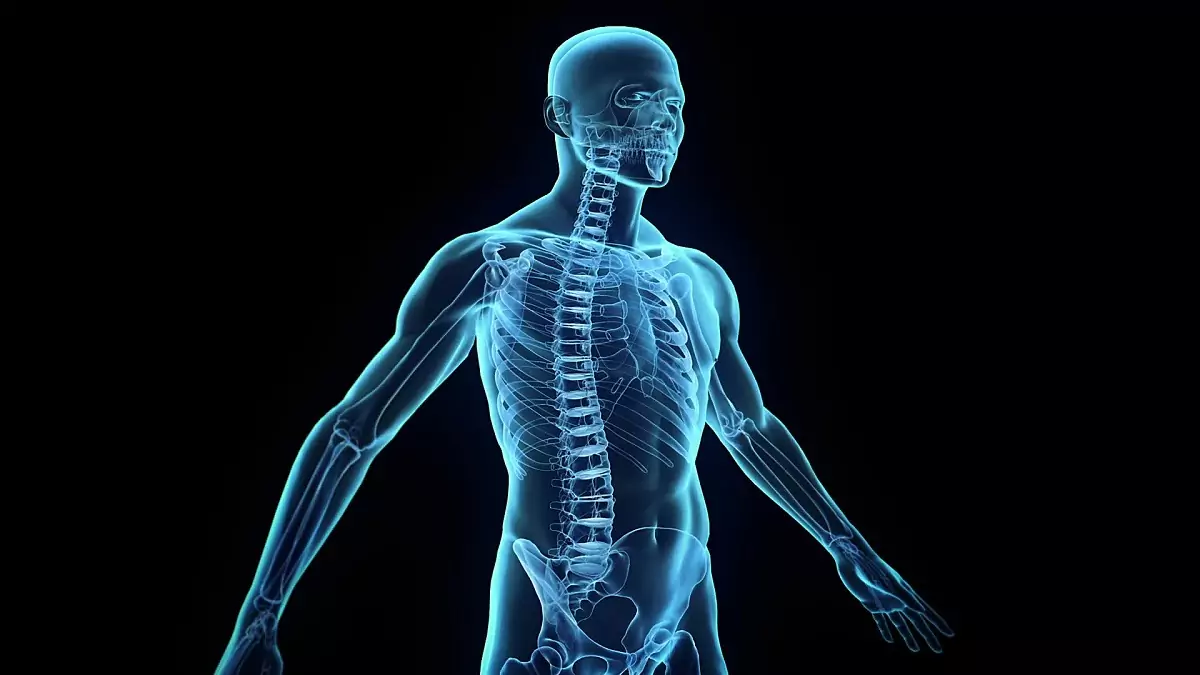 Части на тялото