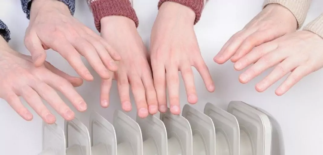 Студени крайници