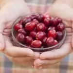 Възпаление на пикочните каналчета