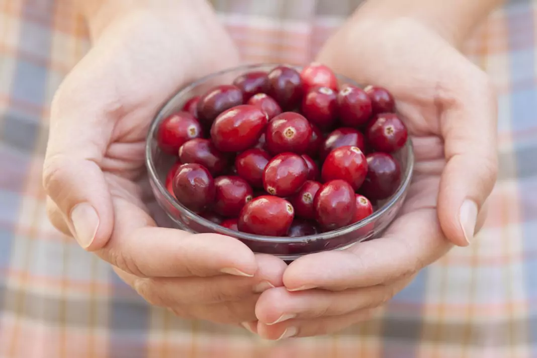 Възпаление на пикочните каналчета