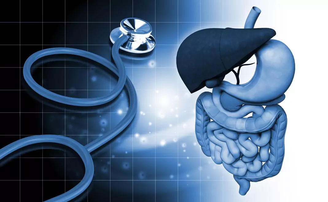 Свинска тения