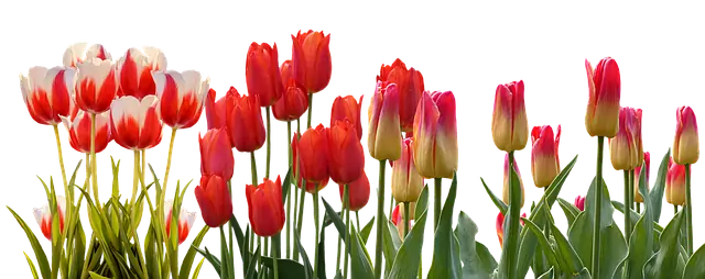 Цветовата терапия Цветовата терапия