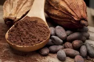Диета с какаови зърна
