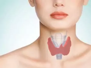 заболявания на щитовидната жлеза заболявания на щитовидната жлеза