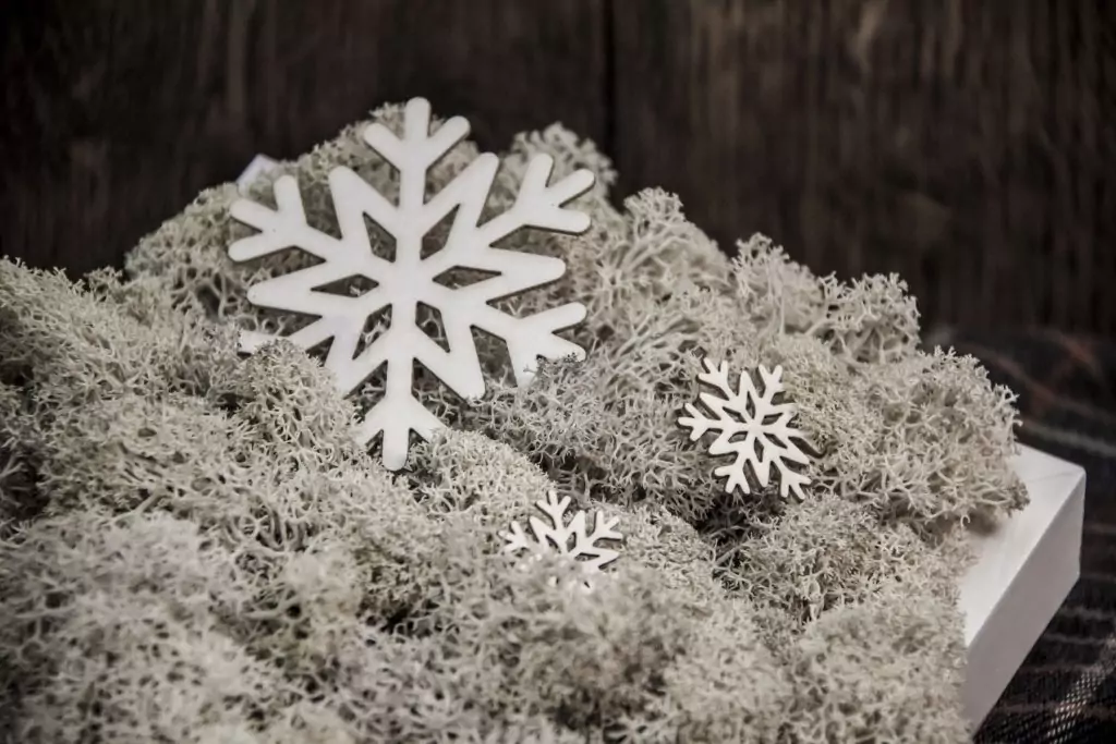 Снежана, Белослава