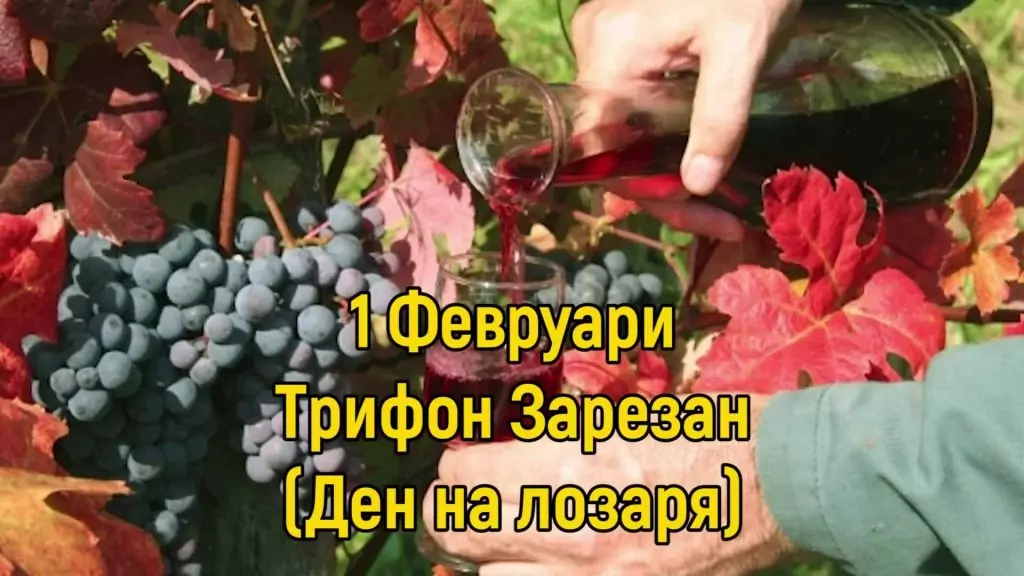 Трифоновден