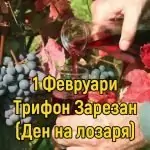 Трифоновден