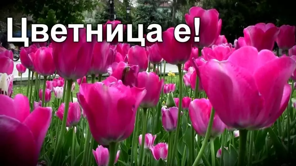 Пожелания за Цветница
