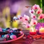 За Фенг шуй