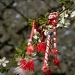 Пожелания за Баба Марта