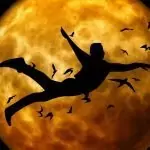 Сънища за летене