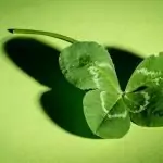 Суеверия за късмет