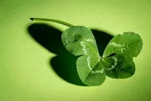 Суеверия за късмет