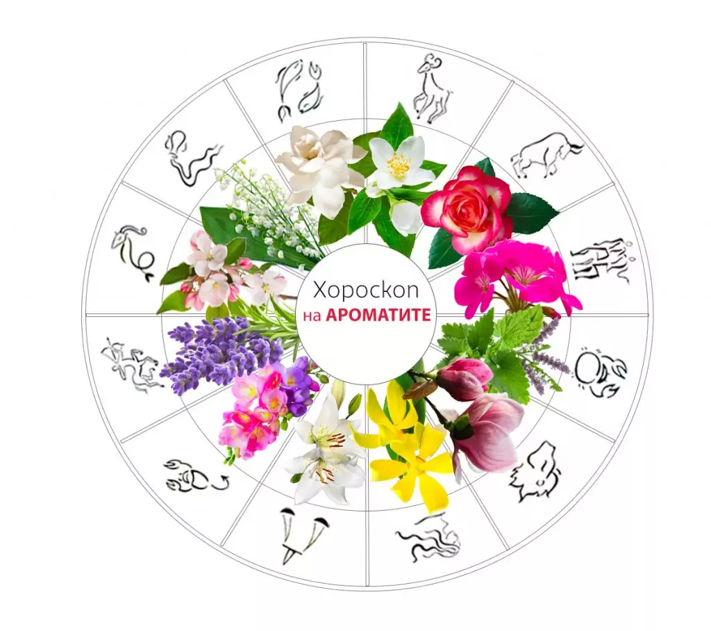 Ароматите и зодиакалните знаци Ароматите и зодиакалните знаци