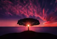 Парад на лунните дни