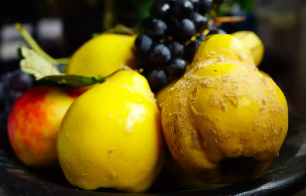 Семки от дюля борят лошия холестерол Семки от дюля борят лошия холестерол