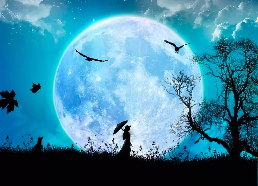 Символи с буква Н