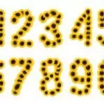 Слънчево число