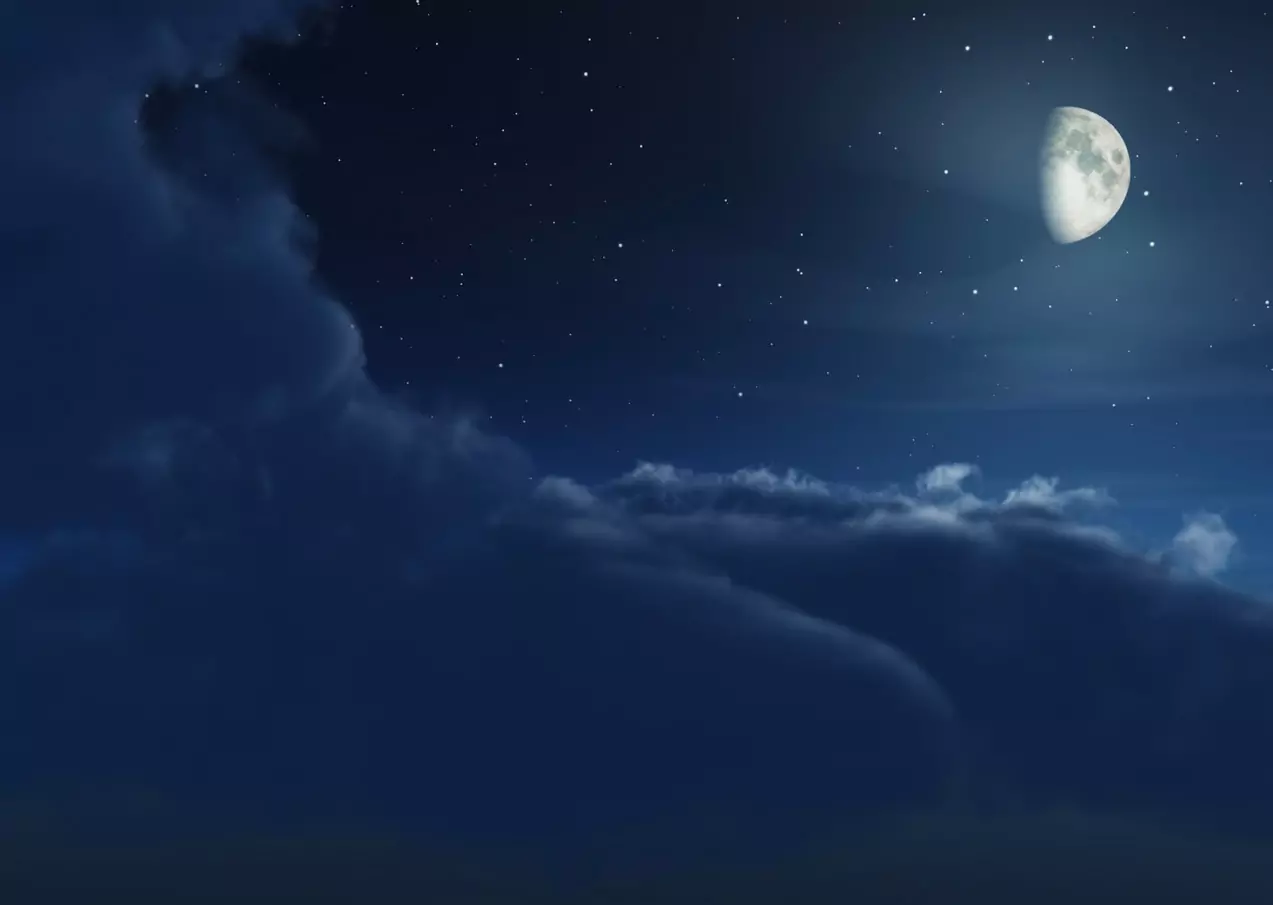 Сънища с буквата П