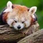 Съдба или избор на душата