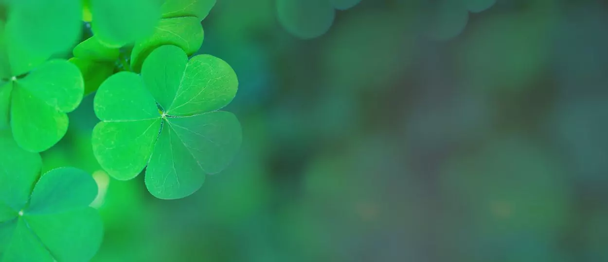 Късметче за деня