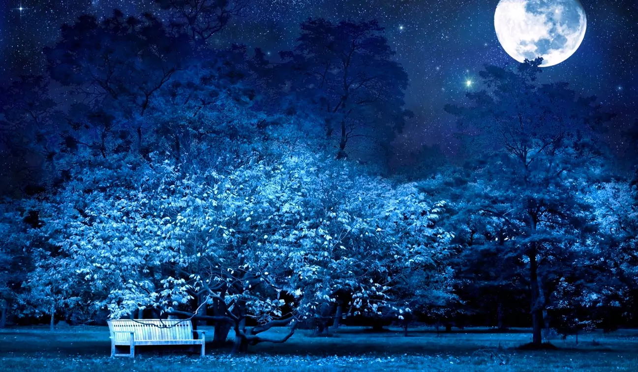 Ясни сънища