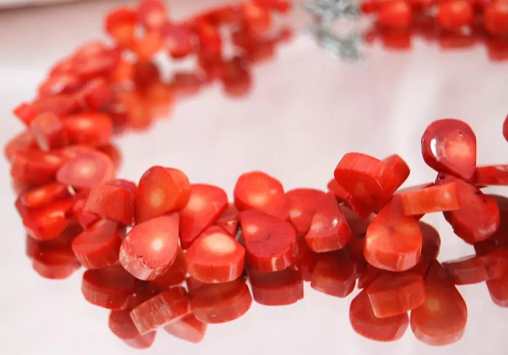 Скъпоценните камъни и зодиите - Корал Скъпоценните камъни и зодиите - Корал