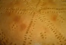 Содена питка