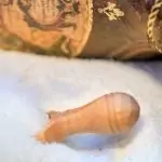 Разваляне на магия с морска сол