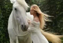 Тайнственият свят на сънищата