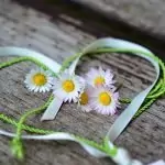 Магия за Любов