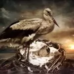 Денят, в който сте родени