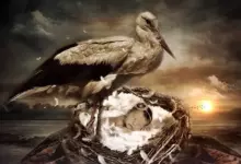 Денят, в който сте родени