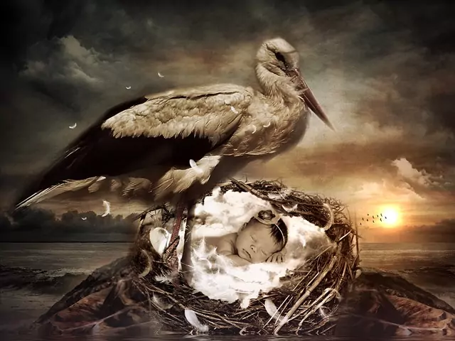 Денят, в който сте родени